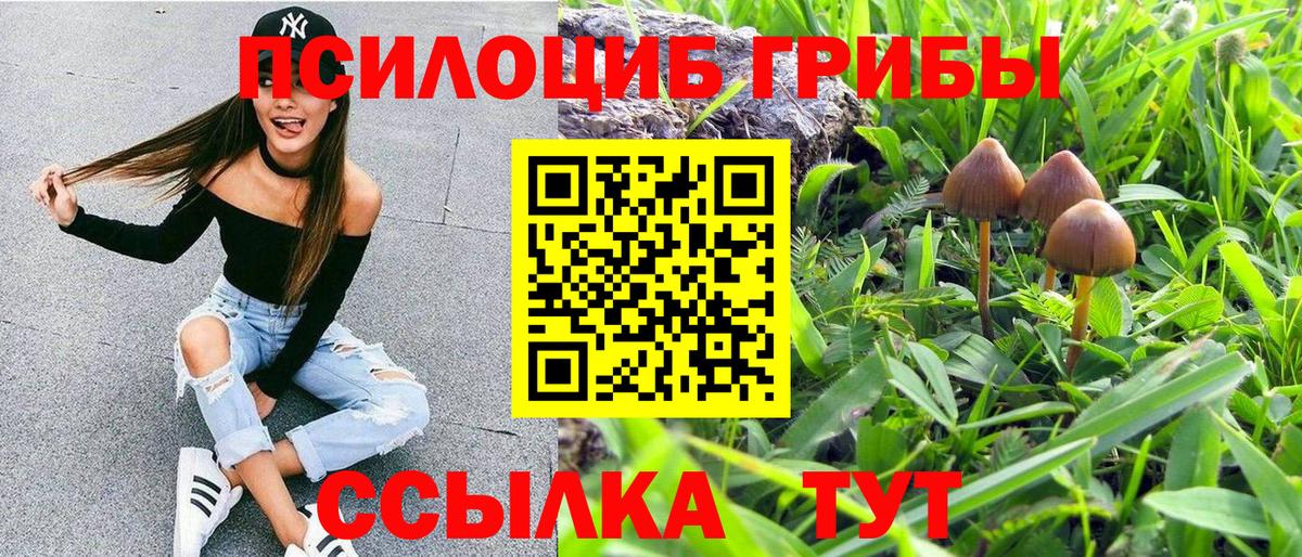 Галлюциногенные грибы Cubensis Семилуки