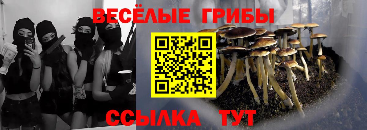 Семилуки  Псилоцибиновые грибы ЛСД  Вход с VPN 